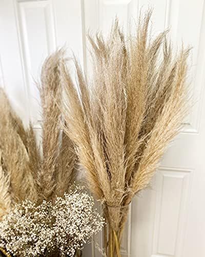 Emir&Odin 45" inch 15 Stems Natural Dried Pampas Grass – Tall, Large and Fluffy, No Shedding No... | Amazon (US)
