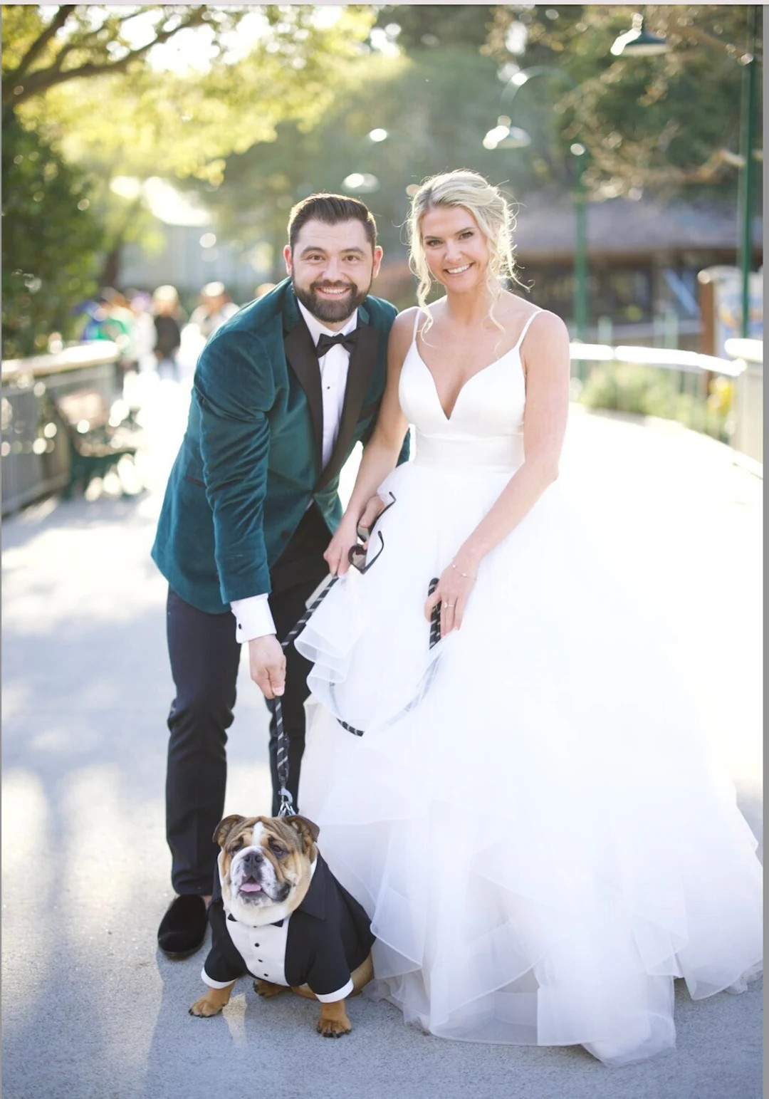 Black Wedding Dog Tuxedo Formal Dog Suit Englidh Bulldog Suit Luxury Dog Outfit Customized Dog Su... | Etsy (US)