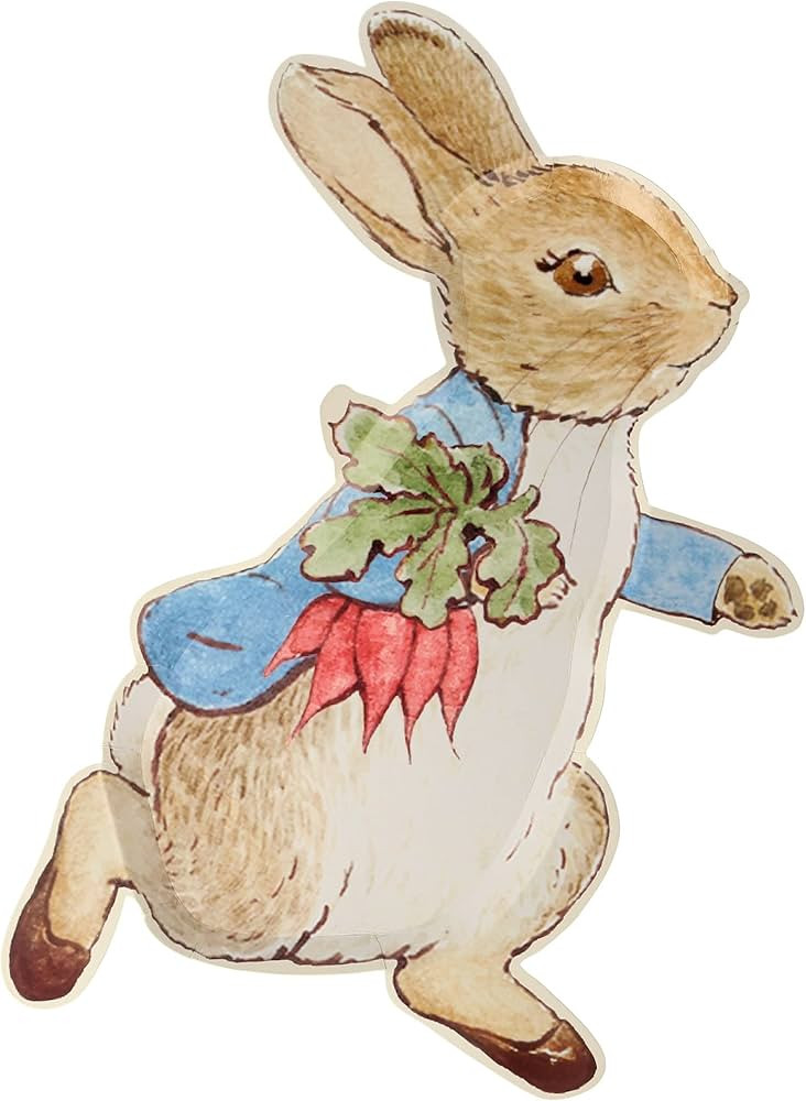 Meri Meri Peter Rabbit™ Plates | Amazon (US)