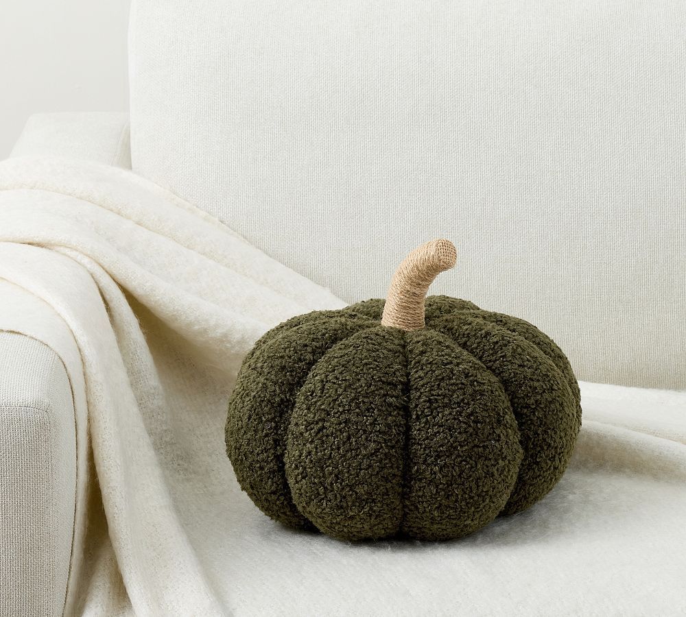 Cozy Pumpkin Pillow | Pottery Barn (US)