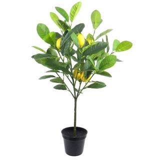 24" Potted Lemon Tree by Ashland® | Michaels Stores