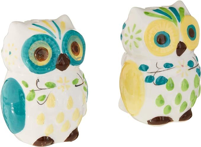 Floral Owl Salt & Pepper Shakers, Hand-painted Ceramic by Boston Warehouse | Amazon (US)