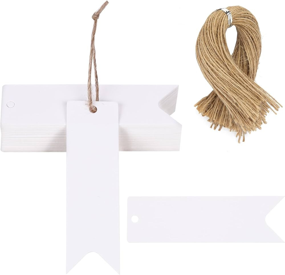SallyFashion 100PCS Mini Gift Tags, White Paper Tags with String 2.8 x 0.8 Inch Blank Present Tag... | Amazon (US)