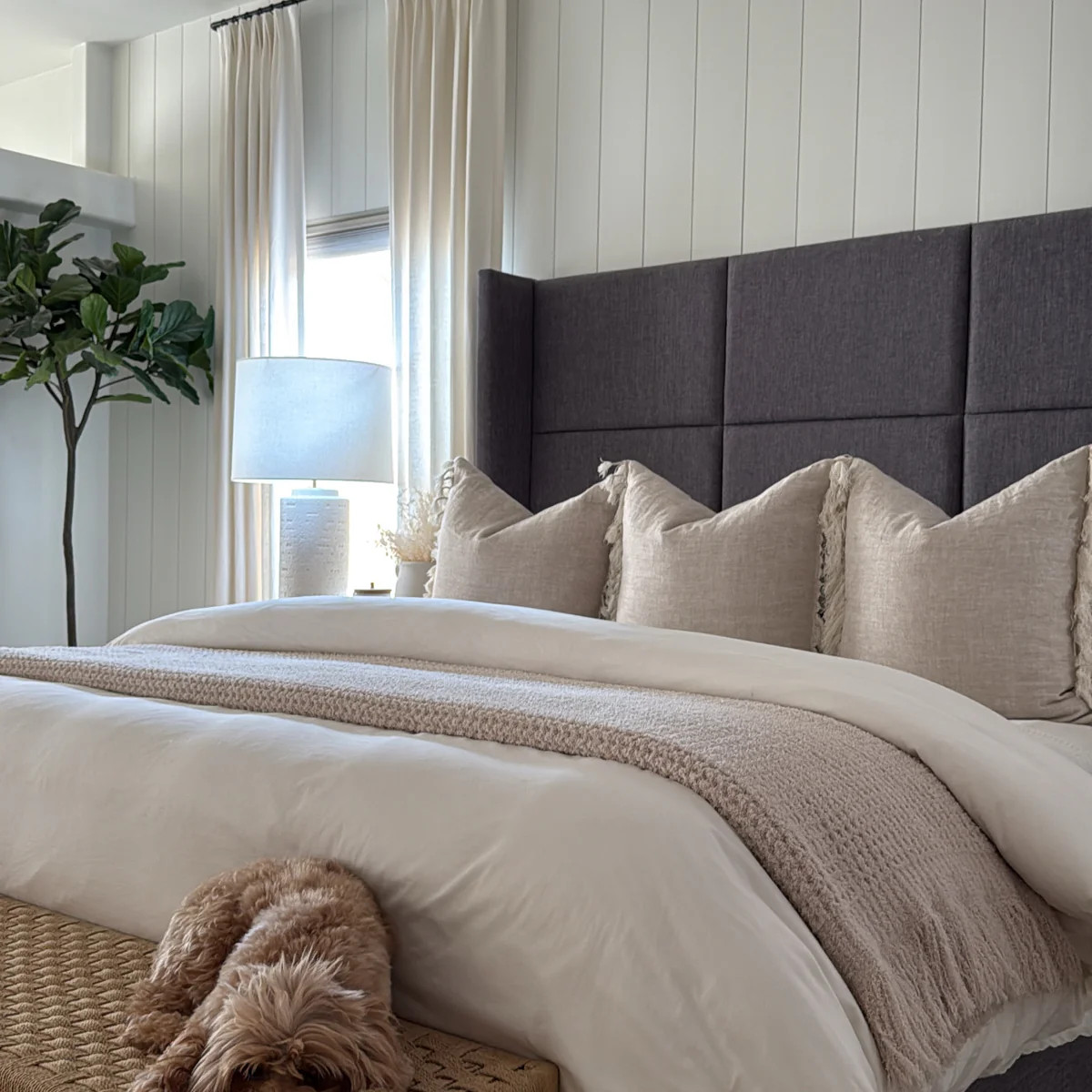 Sand Waffle Fringe Blanket (90*90) | Shop Staykation