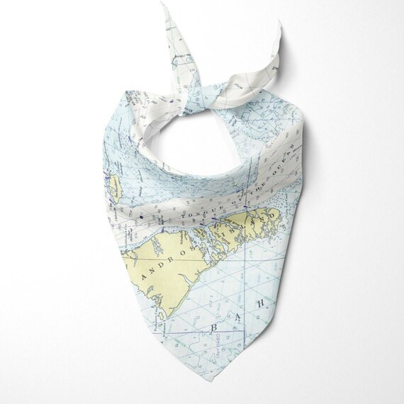 Unique Dog Bandana: Map of the World Puppy Bandana. Best Pet - Etsy | Etsy (US)
