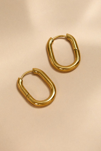 Sheryl Stainless Steel Oblong Hoop Earrings | Francesca's