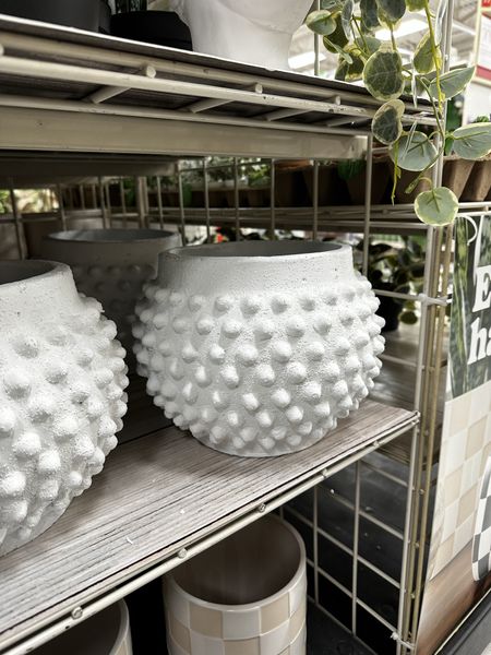 Planter pots that look like vases! Large and beautiful. First one looks like an anthropology dupe!

Vases, big vases, large vases, home decor, table decor

#LTKsalealert #LTKfindsunder50 #LTKhome