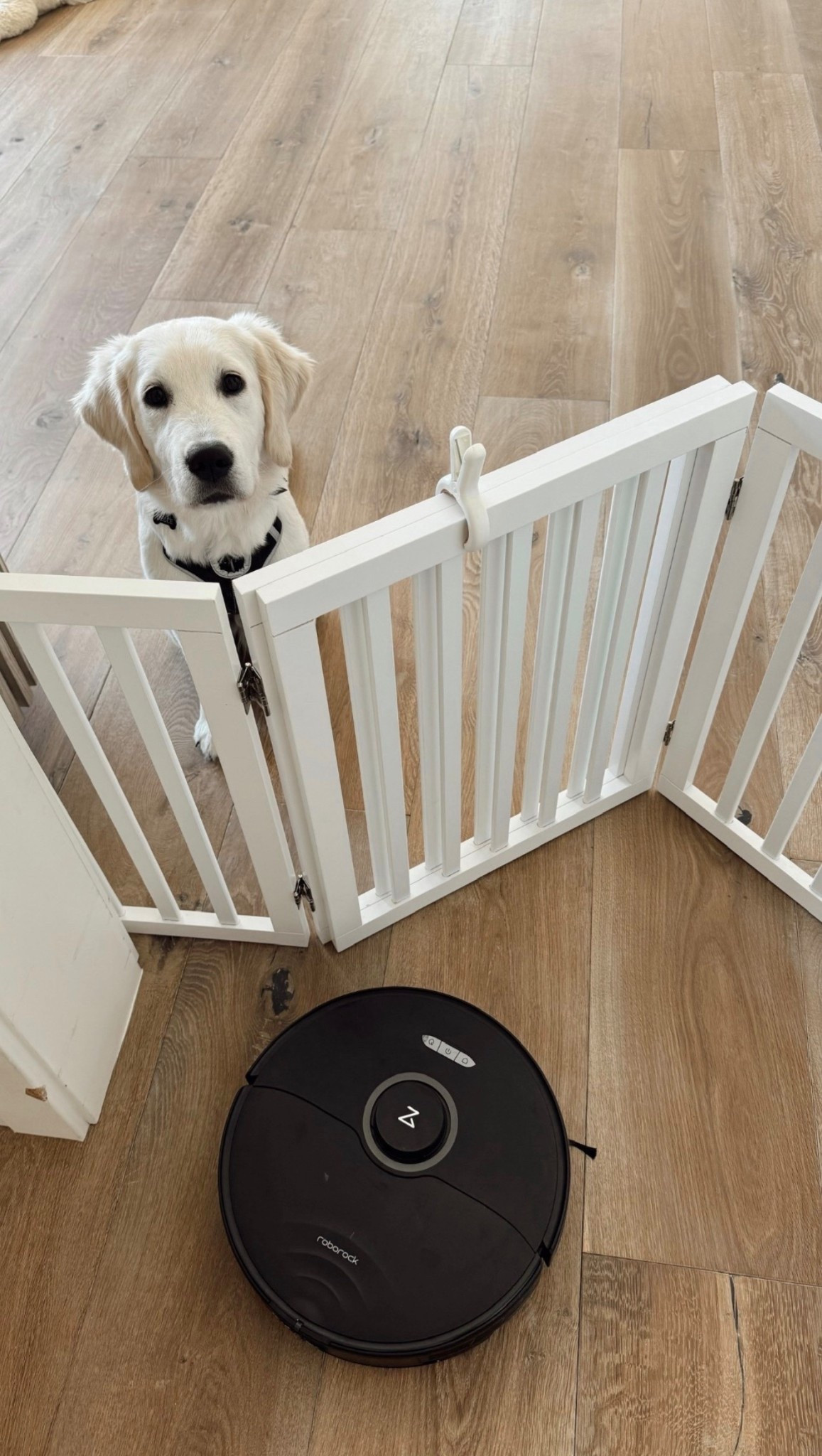 We have found this to be so useful in our home!!
StylinByAylin, Aylin #home #amazon

#LTKHome #LTKSeasonal #LTKGiftGuide