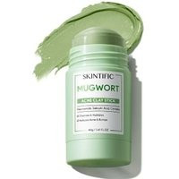 SKINTIFIC - Mugwort Acne Clay Stick 40g | YesStyle.com
