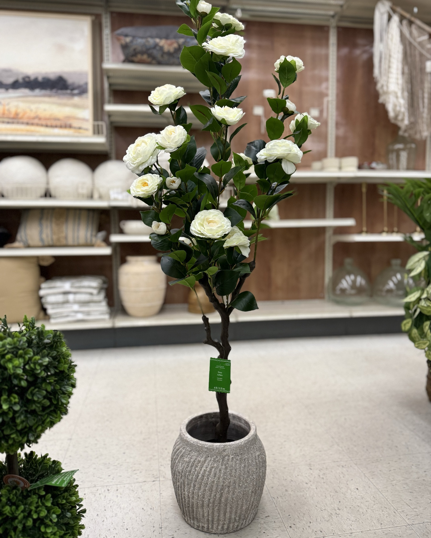 Knew the second I saw this that it needs to be styled on my front porch  

#LTKSaleAlert #LTKdayinmylife #LTKHome