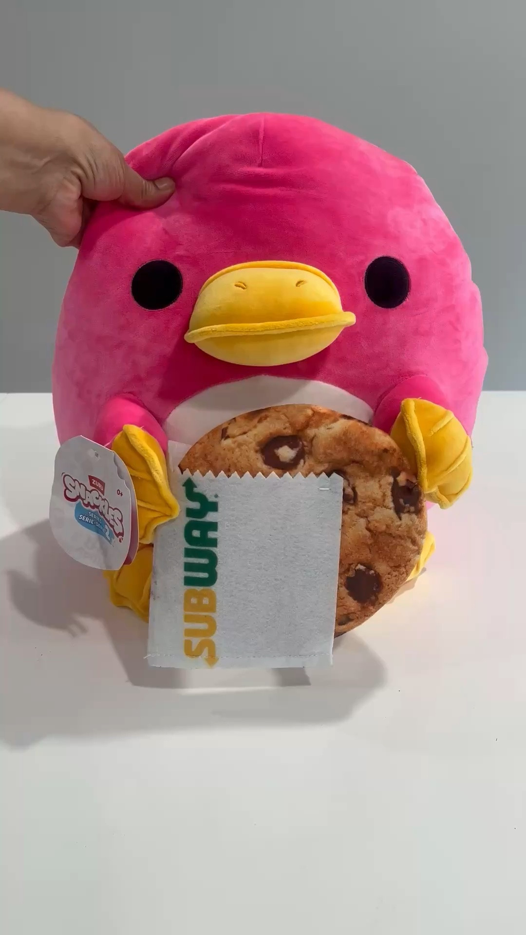 Zuro toys for any kid #zuru #zuruplushie #plushies

#LTKmomlife #LTKdayinmylife #LTKvlog