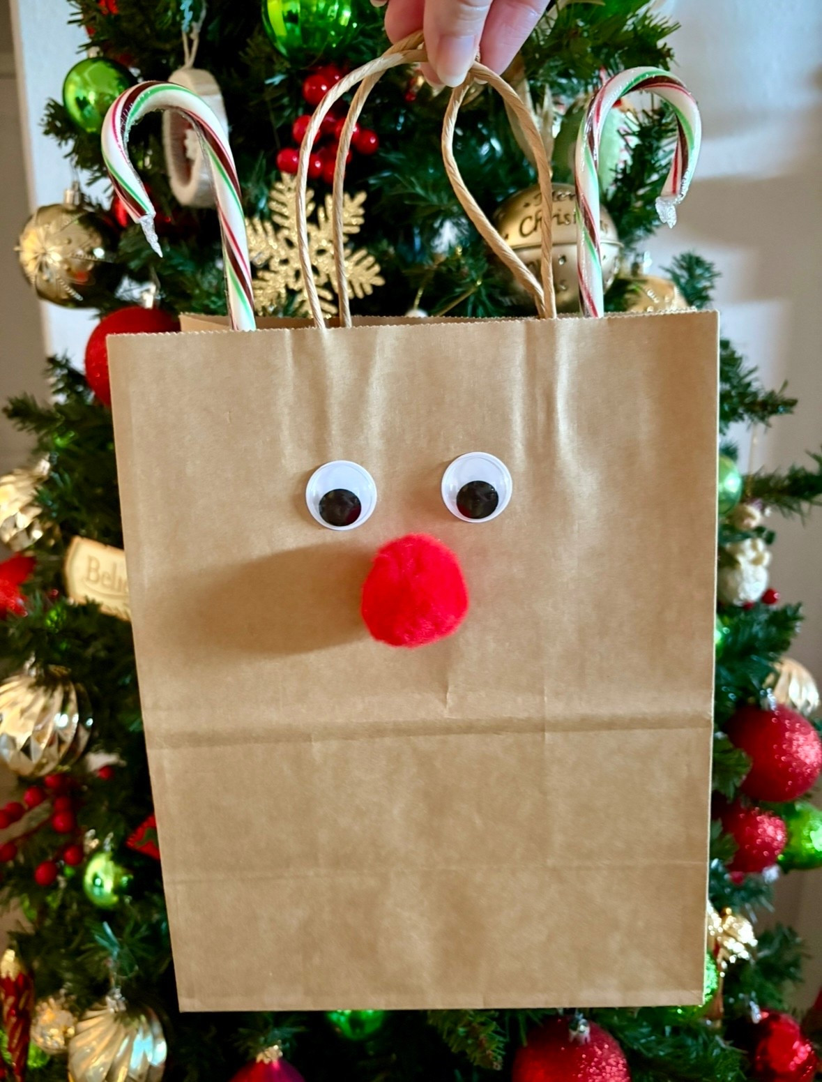 DIY Rudolph Gift Bags! 

#LTKHoliday #LTKGiftGuide #LTKSeasonal