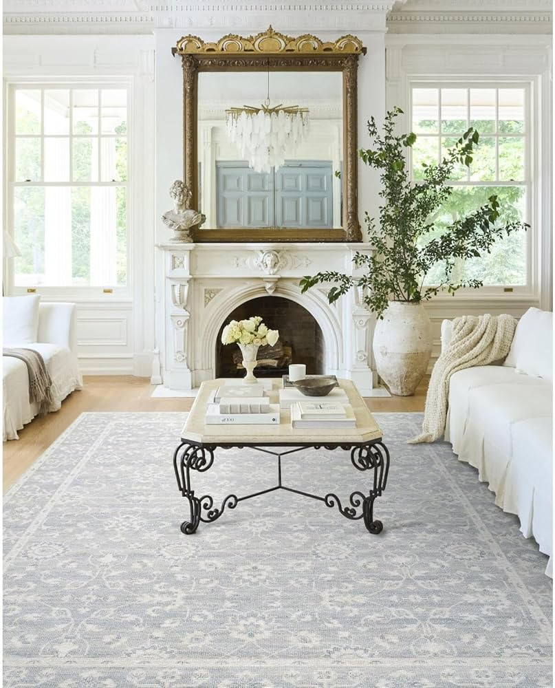 Livabliss x Nabela Noor Home Asha Traditional Oriental Area Rug, 7'10" x 10',Sky Blue/Off-White | Amazon (US)