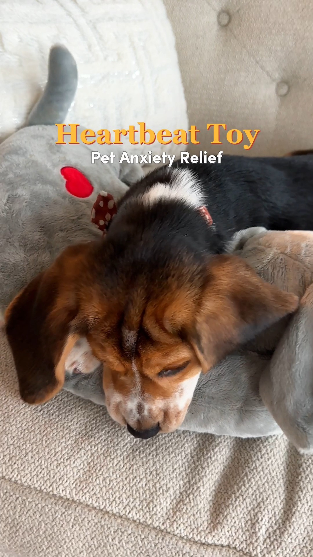 Say goodbye to midnight whining and restless nights with your new pup! 💤 This heartbeat plush creates a gentle, pulsing sensation that mimics a littermate, helping little dogs drift off to sleep effortlessly in their own bed. Ideal for nighttime crate transitions, naptime routines, or easing first-week jitters! 🐾 #LTKpets #LTKunder50 #PuppyRoutine #NighttimeRoutine #PetCareGifts #DogParent #PetFinds 

#LTKmomlife #LTKHome