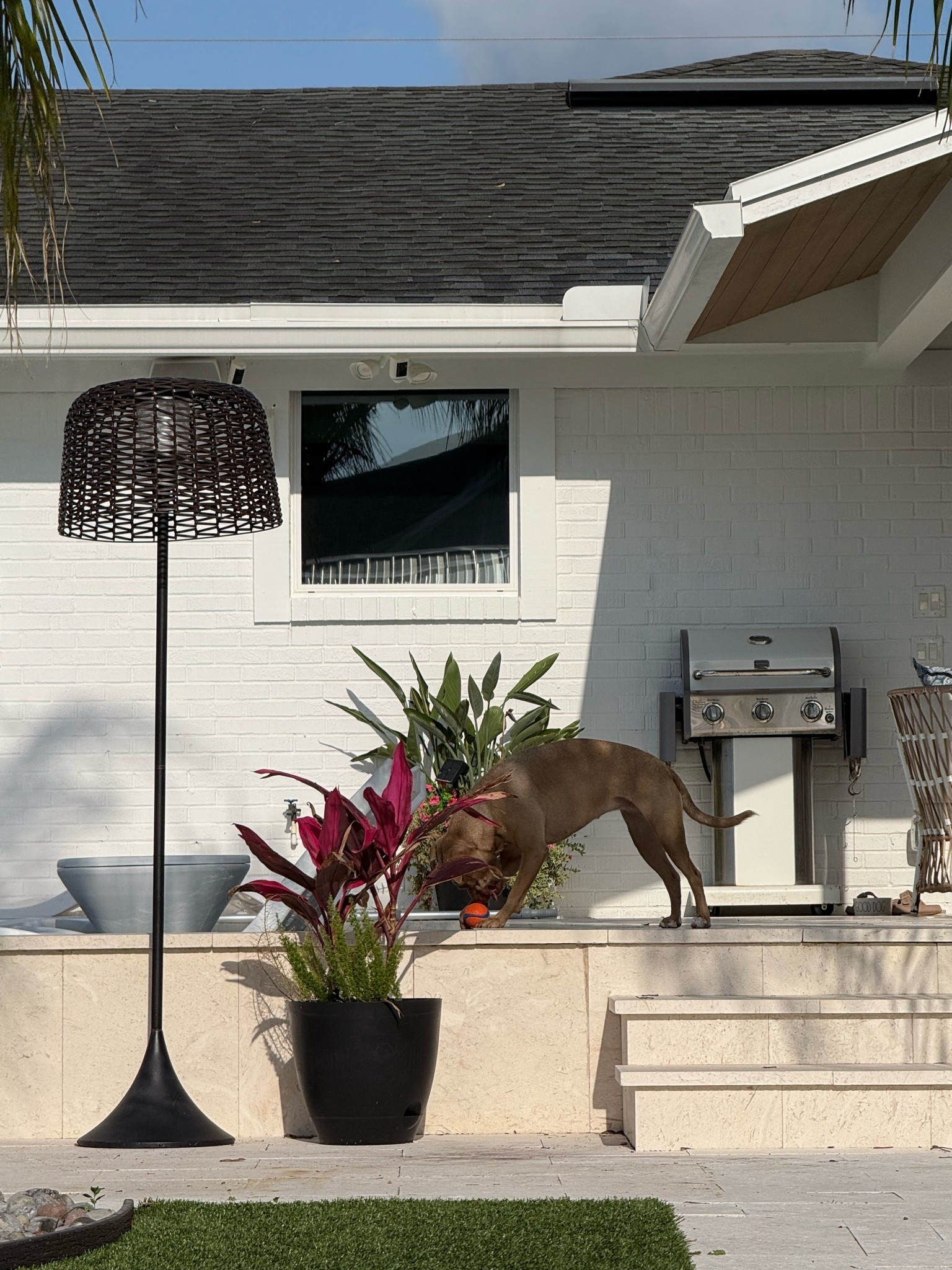 White grill 
Outdoor solar lamp 
Black planters 
Pool furniture