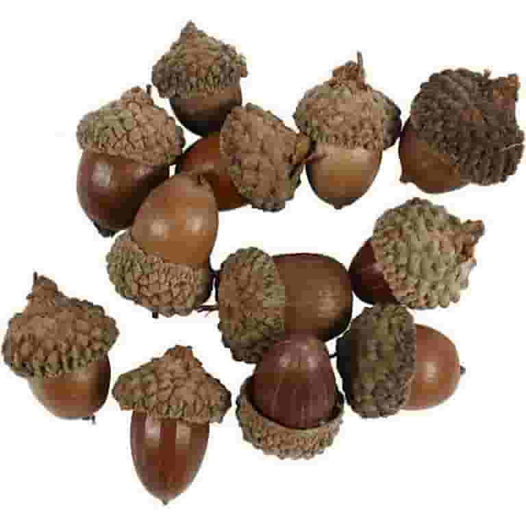 Acorns Pack of 12 | Walmart (US)