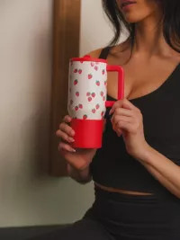 HYDROJUG 20 oz. Traveler Tumbler with Premium Finish - Berry Cute | DICK'S Sporting Goods