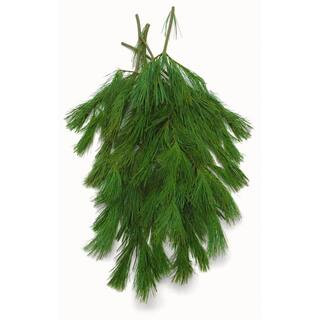 24 in. Bunched Princess Pine Boughs Freshly Cut From Pacific Northwest Forests (5-Pack) | The Home Depot