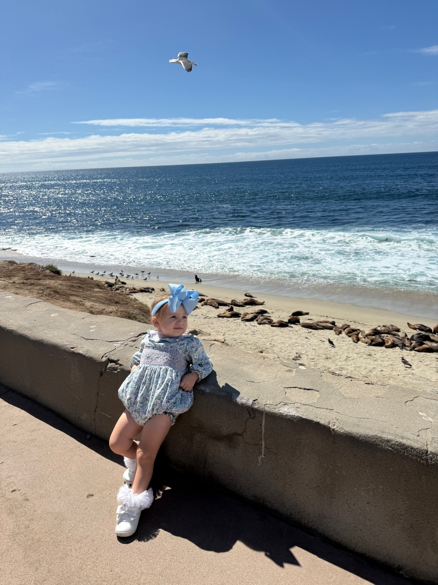 Obsessed with the sea lions is an understatement 🩵
✔️ Capri’s little outfit is from StitchyFish 
✔️ Her iconic bow linked below 

#LTKTravel #LTKBaby #LTKdayinmylife