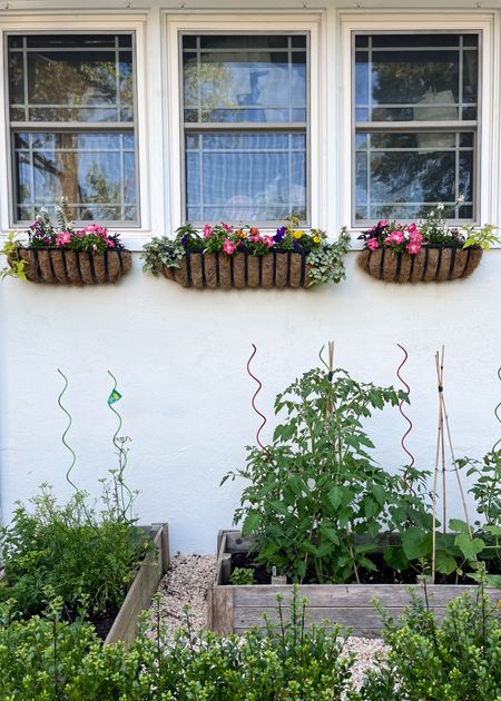 Working on my garden 🌸🌱🍅 My window boxes are probably one of my favorite parts! They changed the whole look of our house- I have one in our front, 3 on these back windows, and 3 on our garage windows! 

#LTKSeasonal #LTKHome