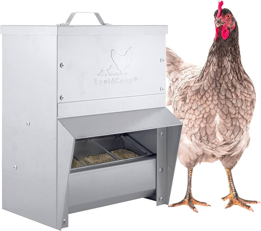 RENTACOOP Galvanized Chicken Trough Feeder, Weatherproof Poultry Food Dispenser with Lid ,10LB Ca... | Amazon (US)