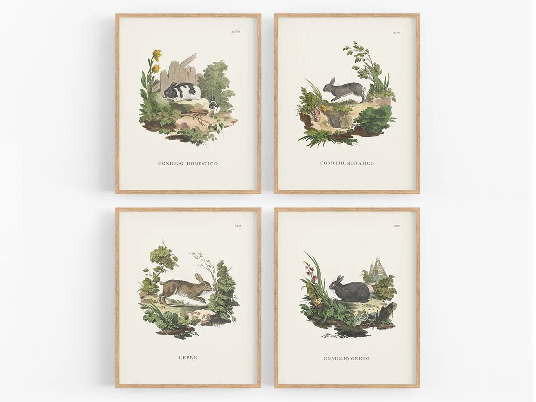 Set of Four Bunny Art Prints / Bunny Art / Baby Art / - Etsy | Etsy (US)