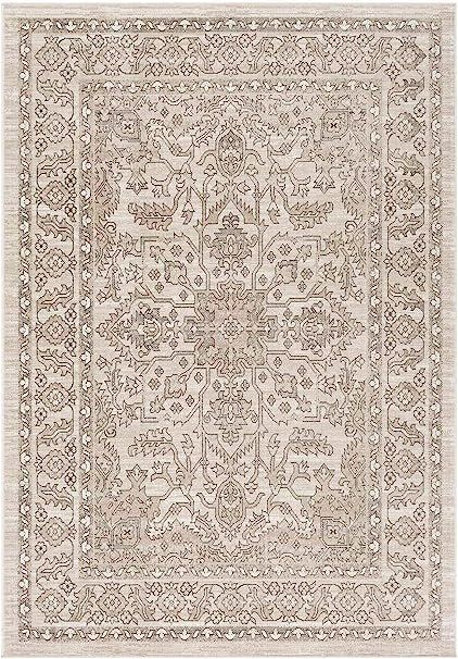 Mark&Day Area Rugs, 5x7 Darp Traditional Charcoal Area Rug, White/Beige/Black Carpet for Living R... | Amazon (US)