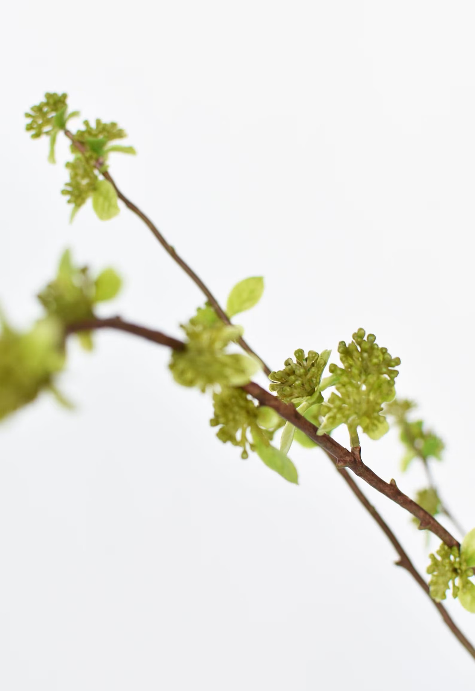 40" Faux Budding Branch Stem | Etsy (US)