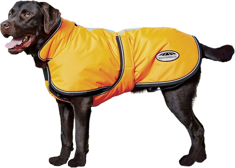 WeatherBeeta ComFiTec Reflective Parka 300D Deluxe Dog Coat, Orange, 20" | Amazon (US)