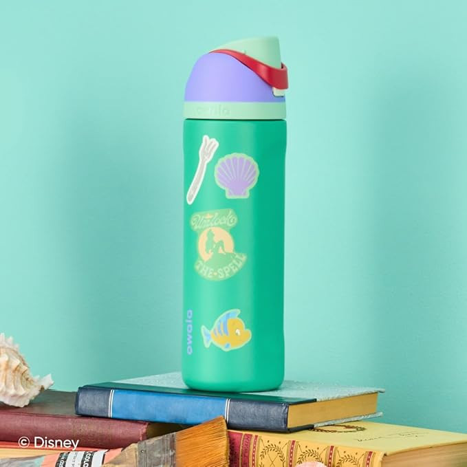 Owala Disney Princess FreeSip Insulated Stainless Steel Water Bottle with Straw for Sports and Tr... | Amazon (US)