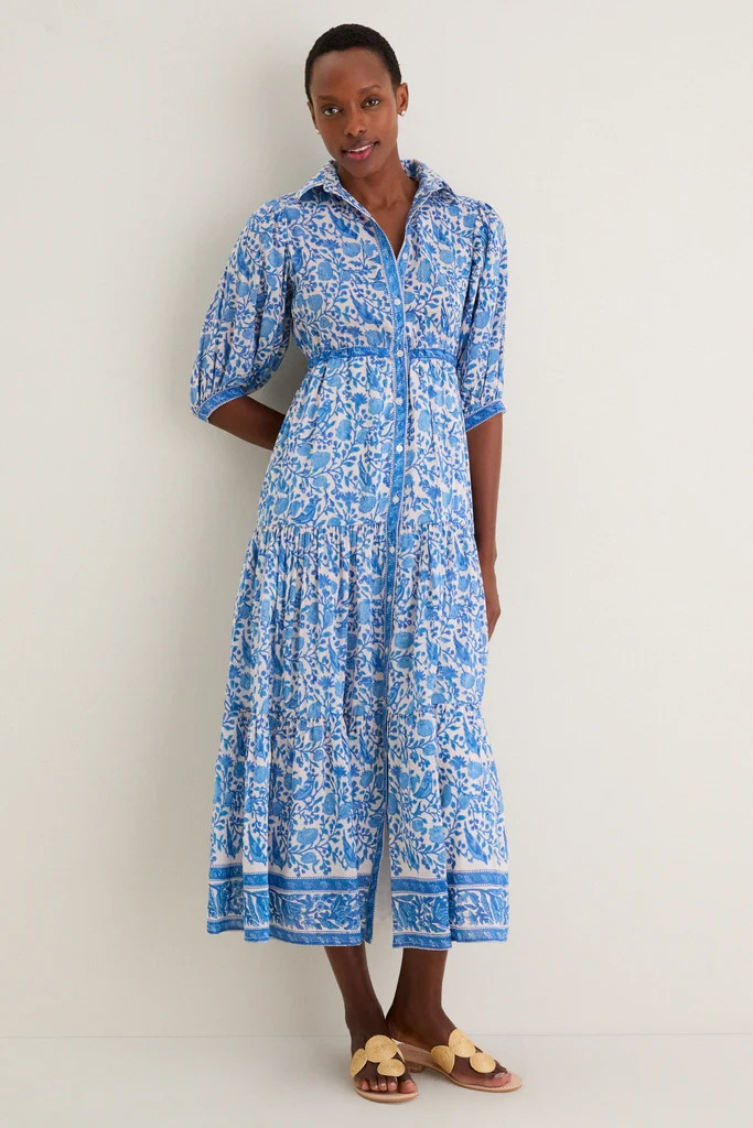 Blue White Blair Maxi Dress | Tuckernuck (US)