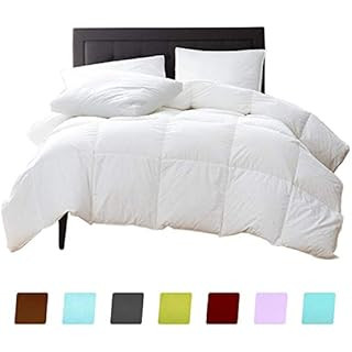 LINENSPA All-Season White Down Alternative Quilted Comforter - Corner Duvet Tabs - Hypoallergenic... | Amazon (US)