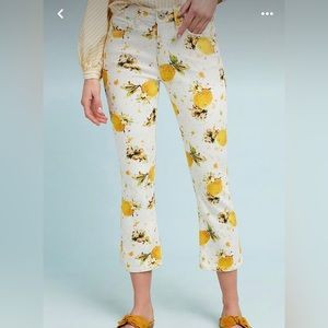 Pilcro & the Letterpress Lemon Grove High Rise Cropped Bootcut Pants | Poshmark