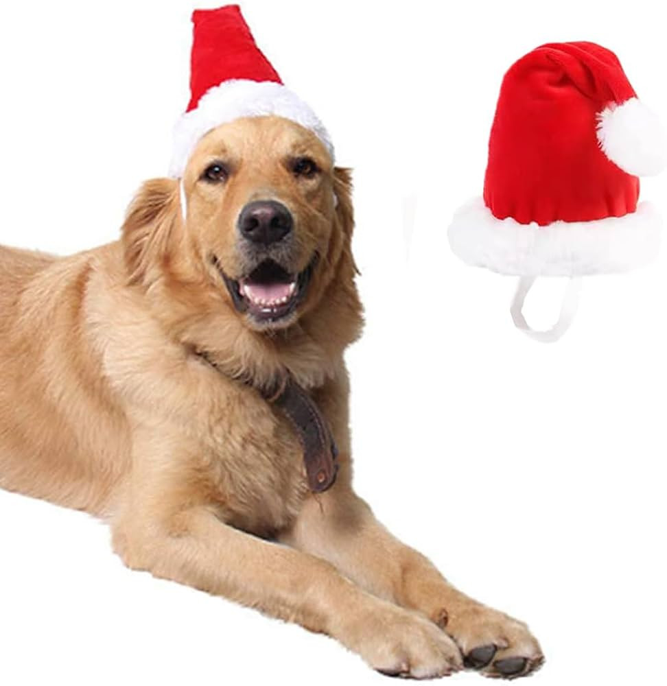 ANIAC Adjustable 3D Christmas Dog Santa Hat for Medium to Large Dogs Pet Dog Santa Costume… | Amazon (US)