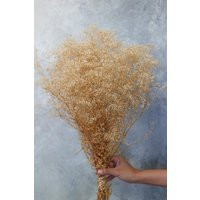 Natural Dried Baby's Breath | Etsy (US)