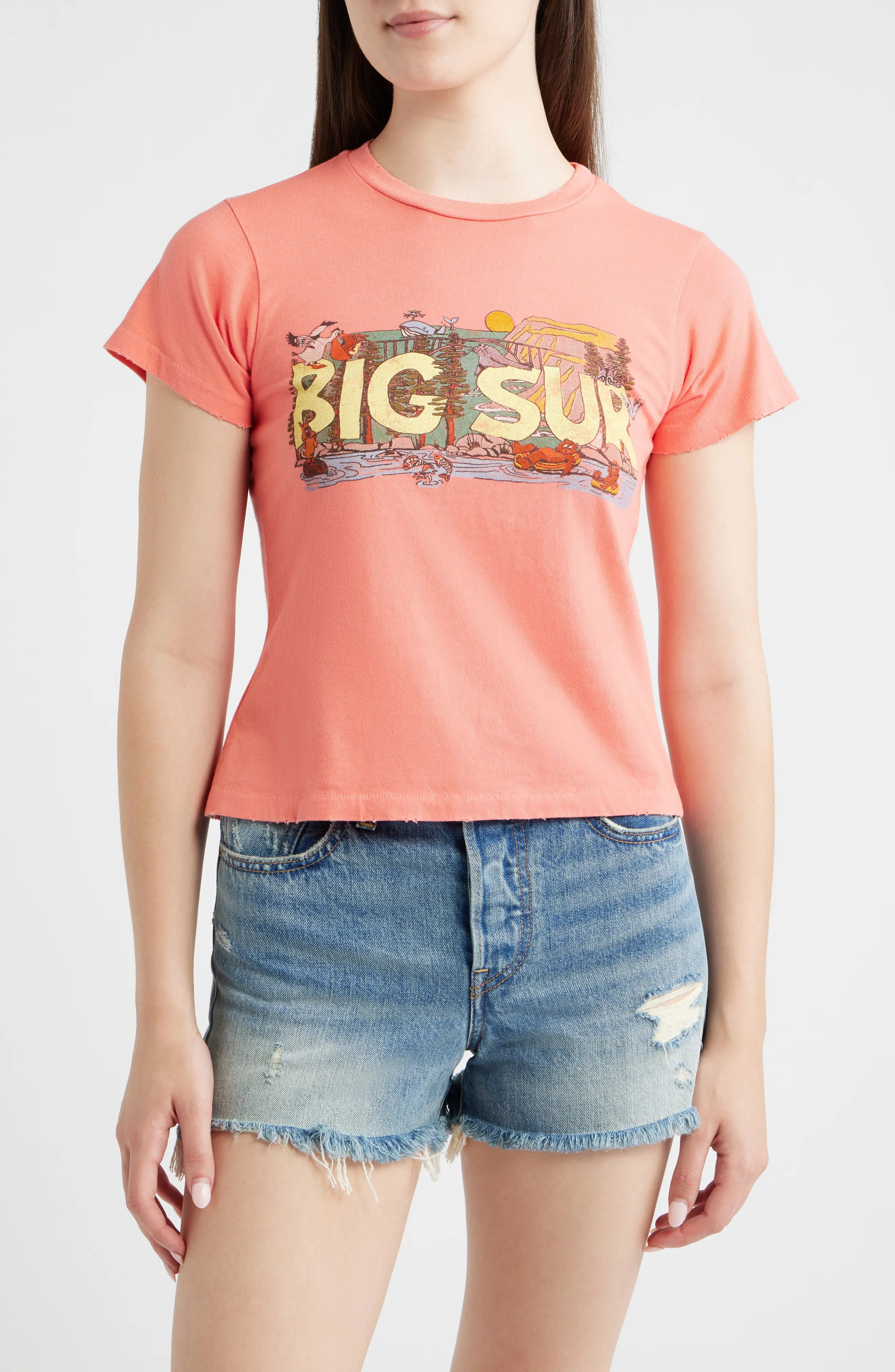 Daydreamer Big Sur Graphic T-Shirt (Women) | Nordstrom | Nordstrom