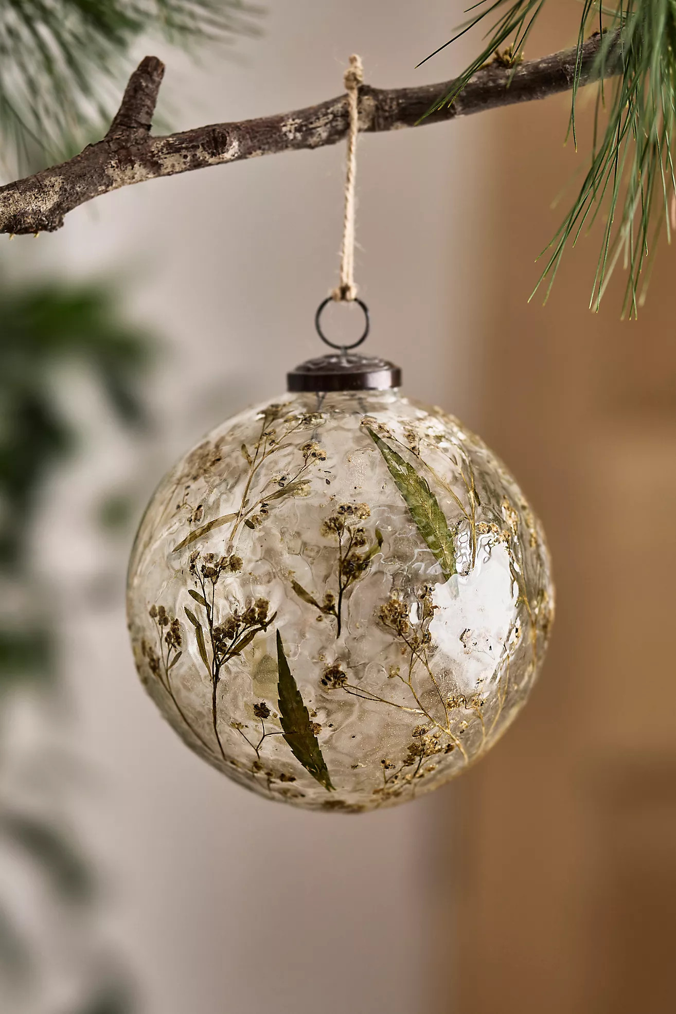 Pressed Botanicals Glass Globe Ornament | Anthropologie (US)