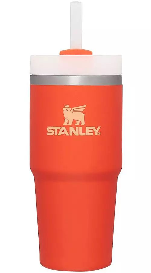 Stanley 14 oz. Quencher H2.0 FlowState Tumbler | Dick's Sporting Goods