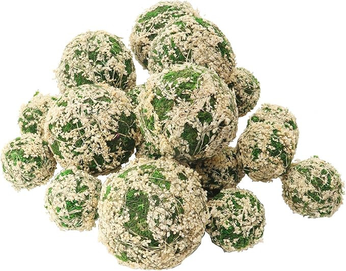 AMEICE Moss Balls Decorative Authentic Real Preserved Moss Hanging Balls for Garden Patio Home Ta... | Amazon (US)