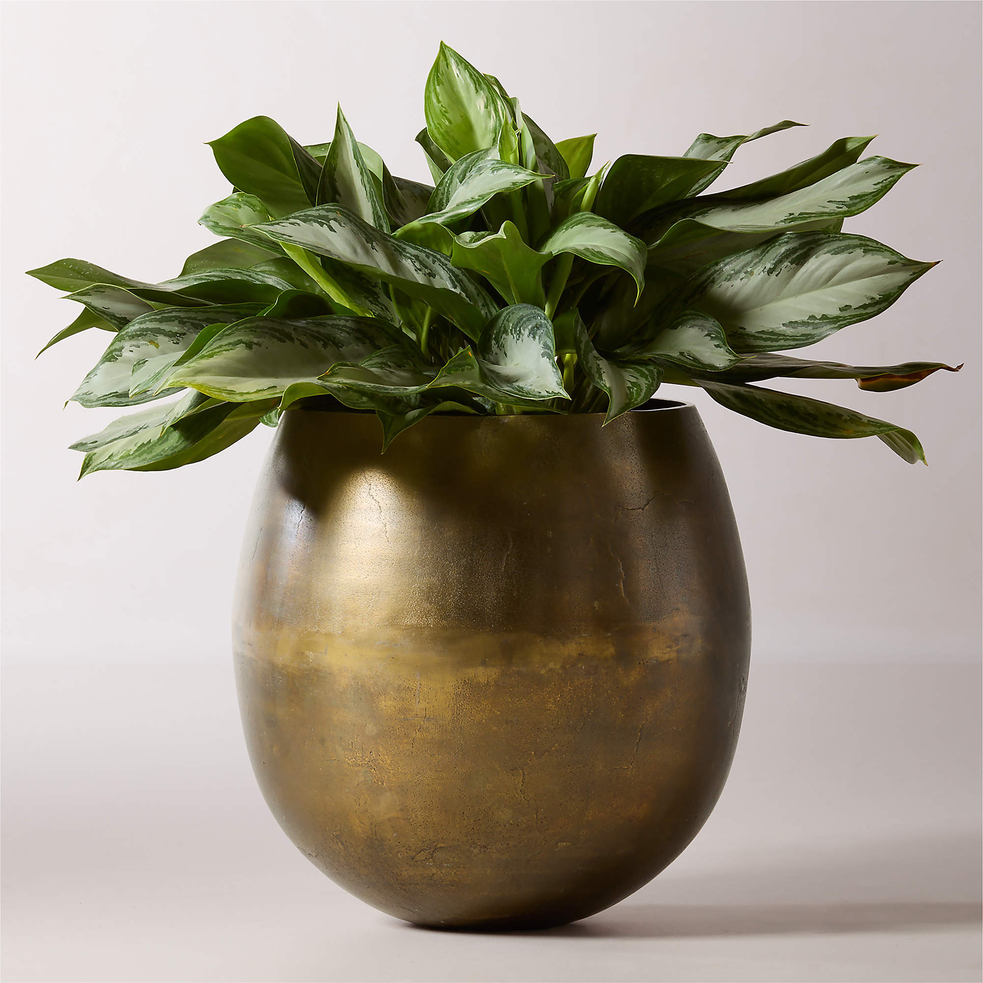 Rough Cast Black Aluminum Indoor Planter Large + Reviews | CB2 | CB2