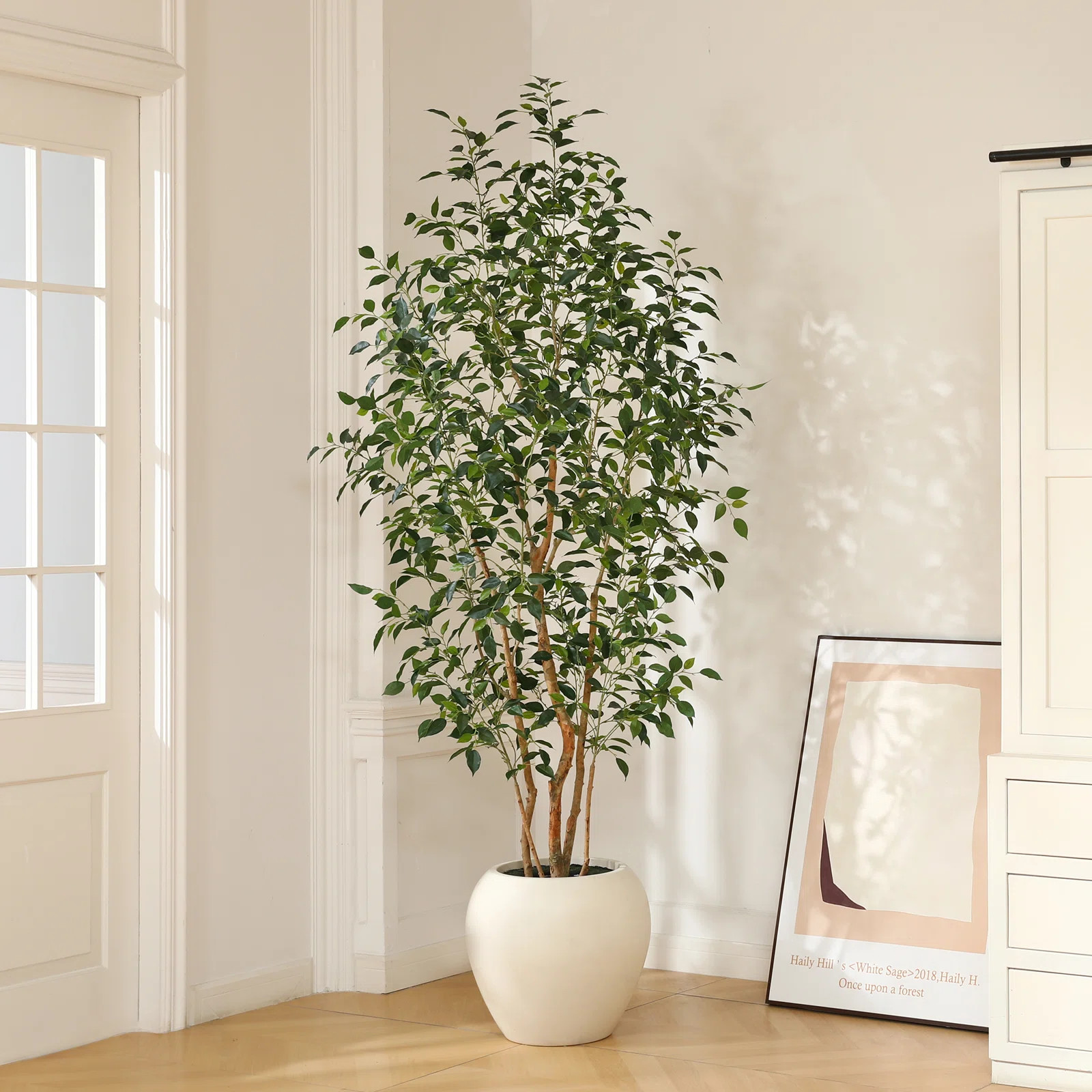 Adcock 8ft Artificial Ficus Tree with White Tall Planter, Faux Ficus Tree with Natural Trunk | Wayfair North America