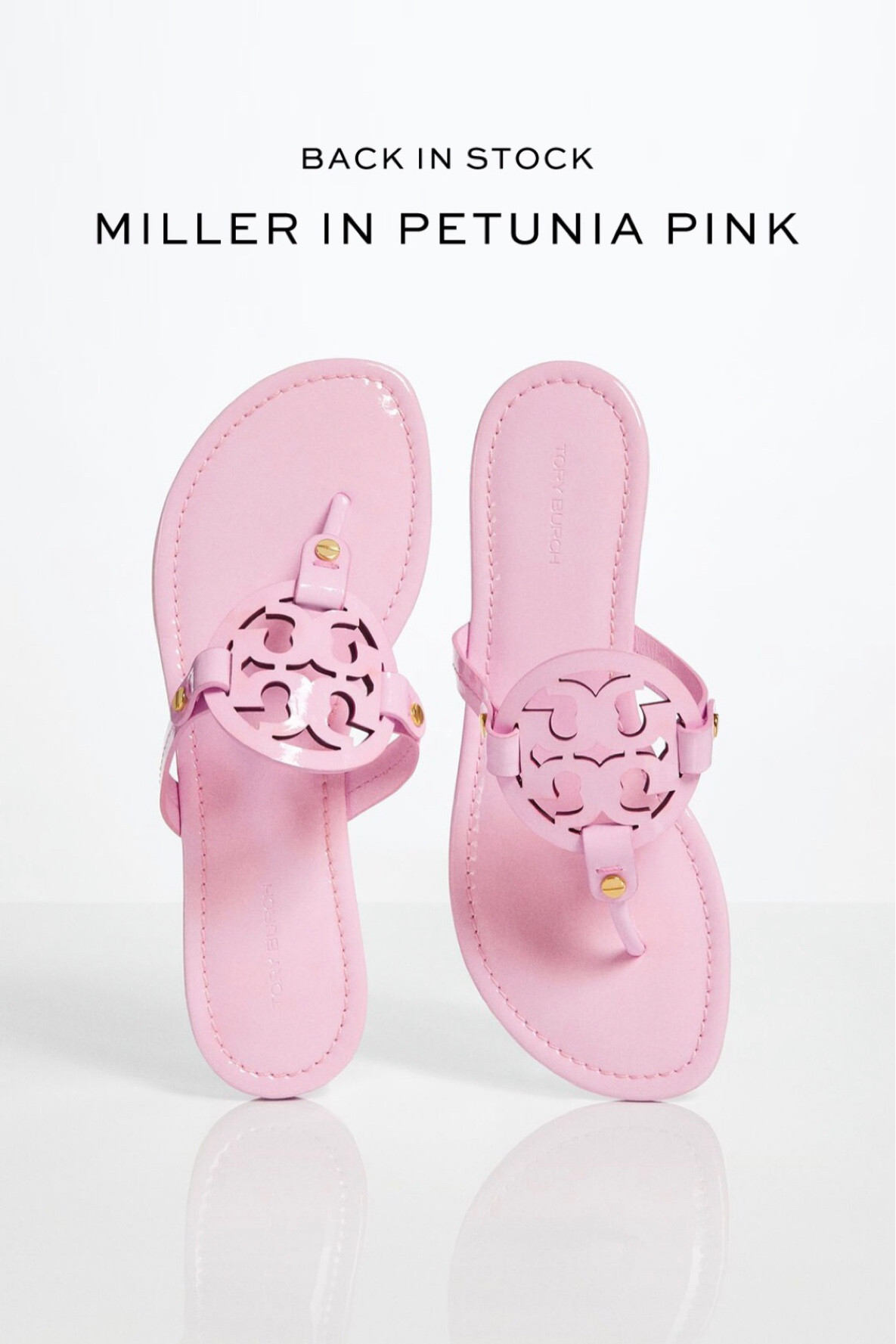 These beautiful sandals are back in stock!!

#LTKFind #LTKshoecrush #LTKstyletip