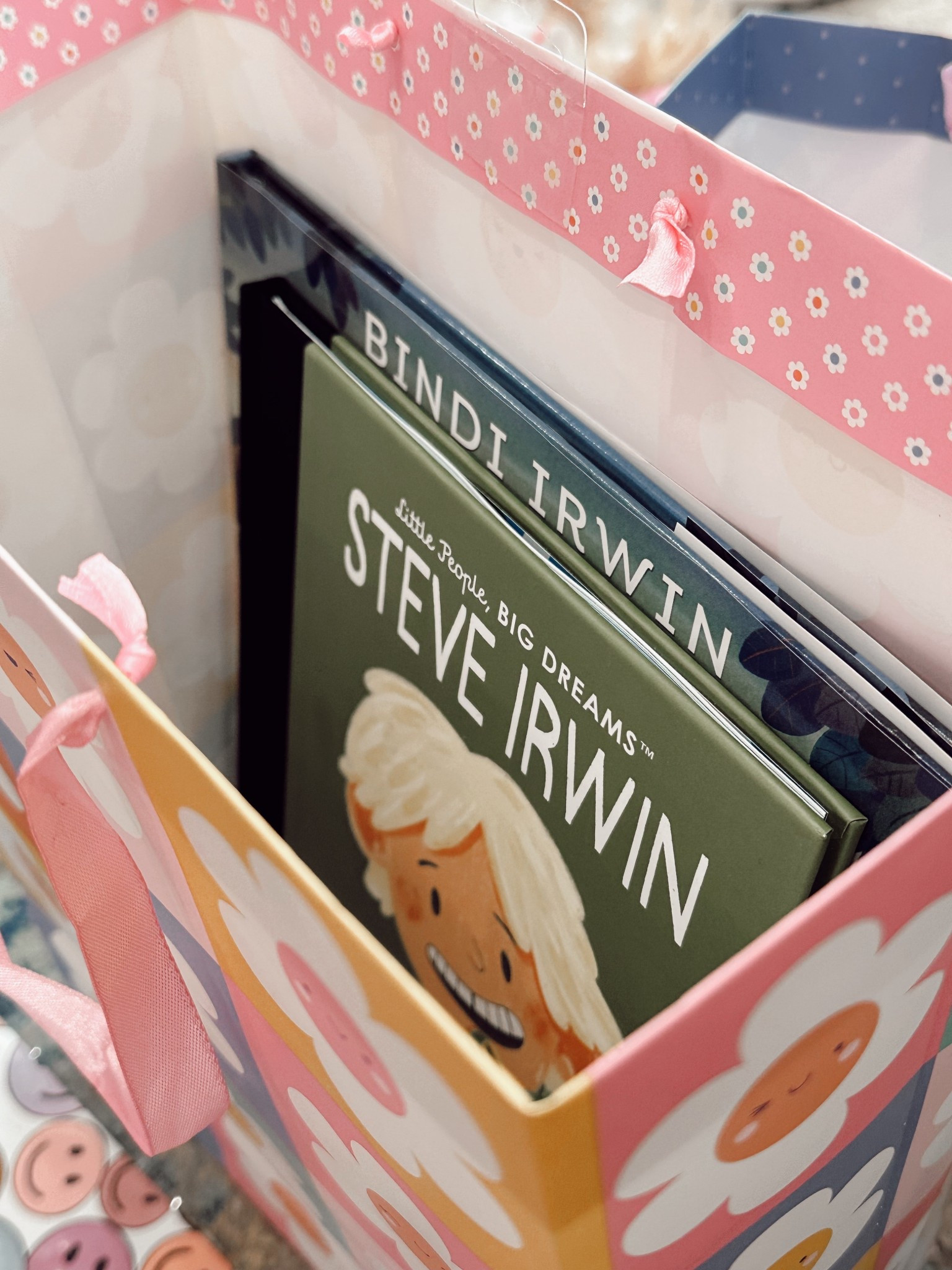 We love the Irwin family at our home. Got these for our daughter’s 3rd birthday! #irwin #kidsbooks 

#LTKHome #LTKGiftGuide #LTKKids