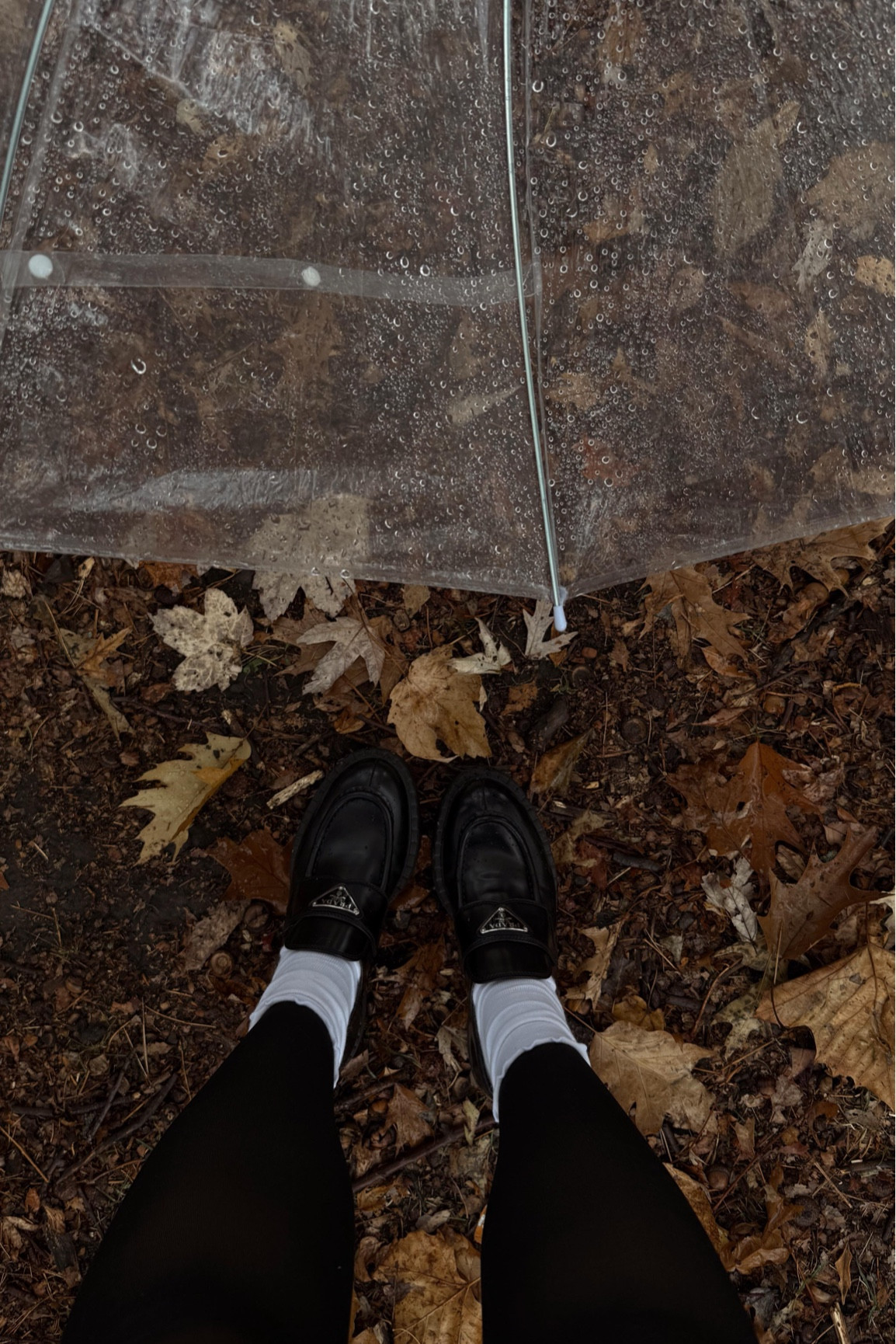 a love letter to fall💌

#effortlesschic #neutralstyle #fallstyle #outfitideas