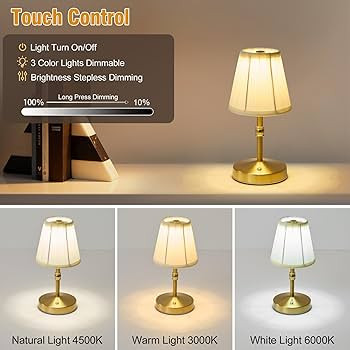 Cordless Mini Lamps Gold,3000 mah Battery Operated Lamp,3 Color Temperature Dimmable Table Lamp,S... | Amazon (US)