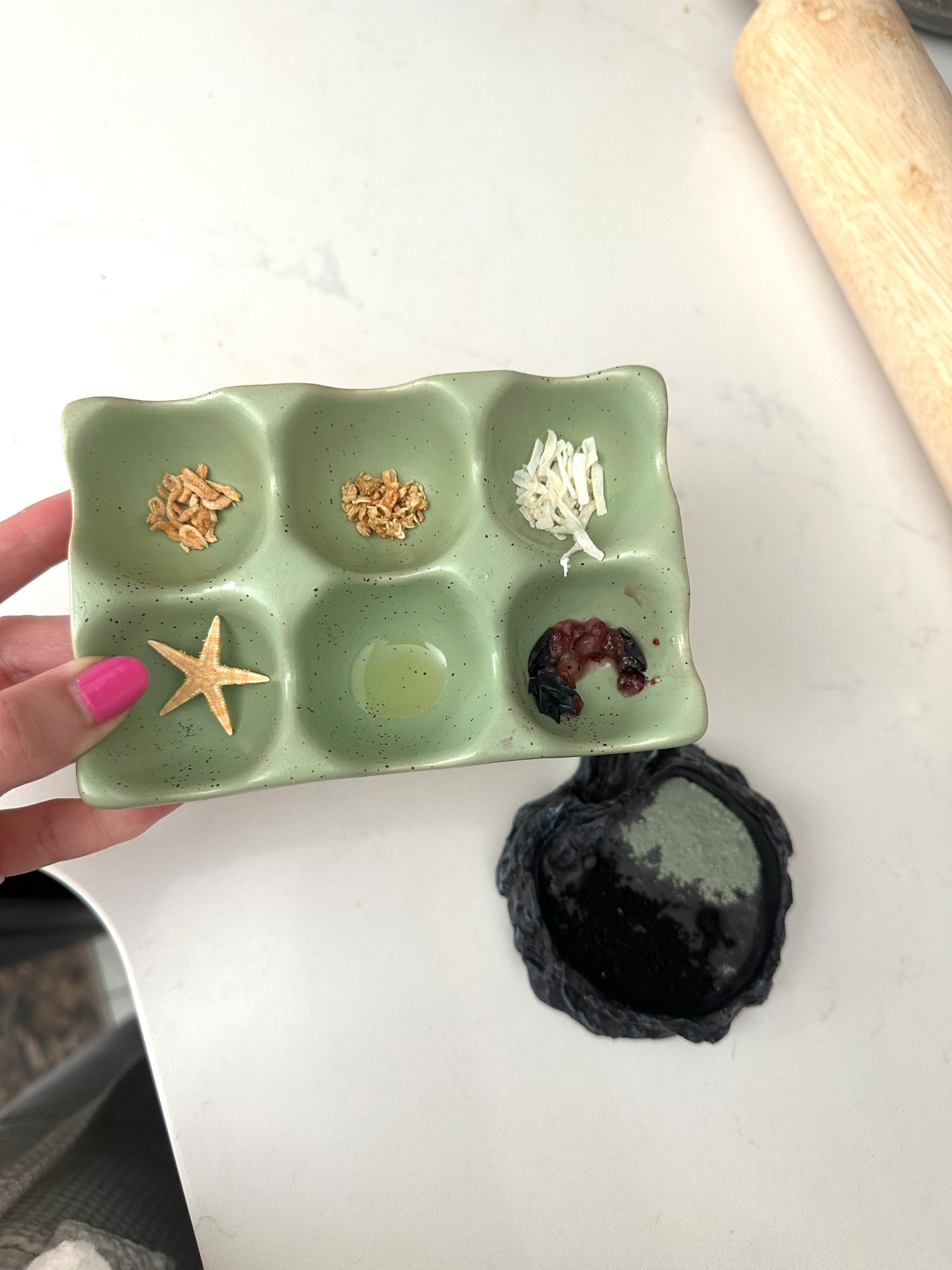 Hermit crab food must haves 
Etsy, Amazon 