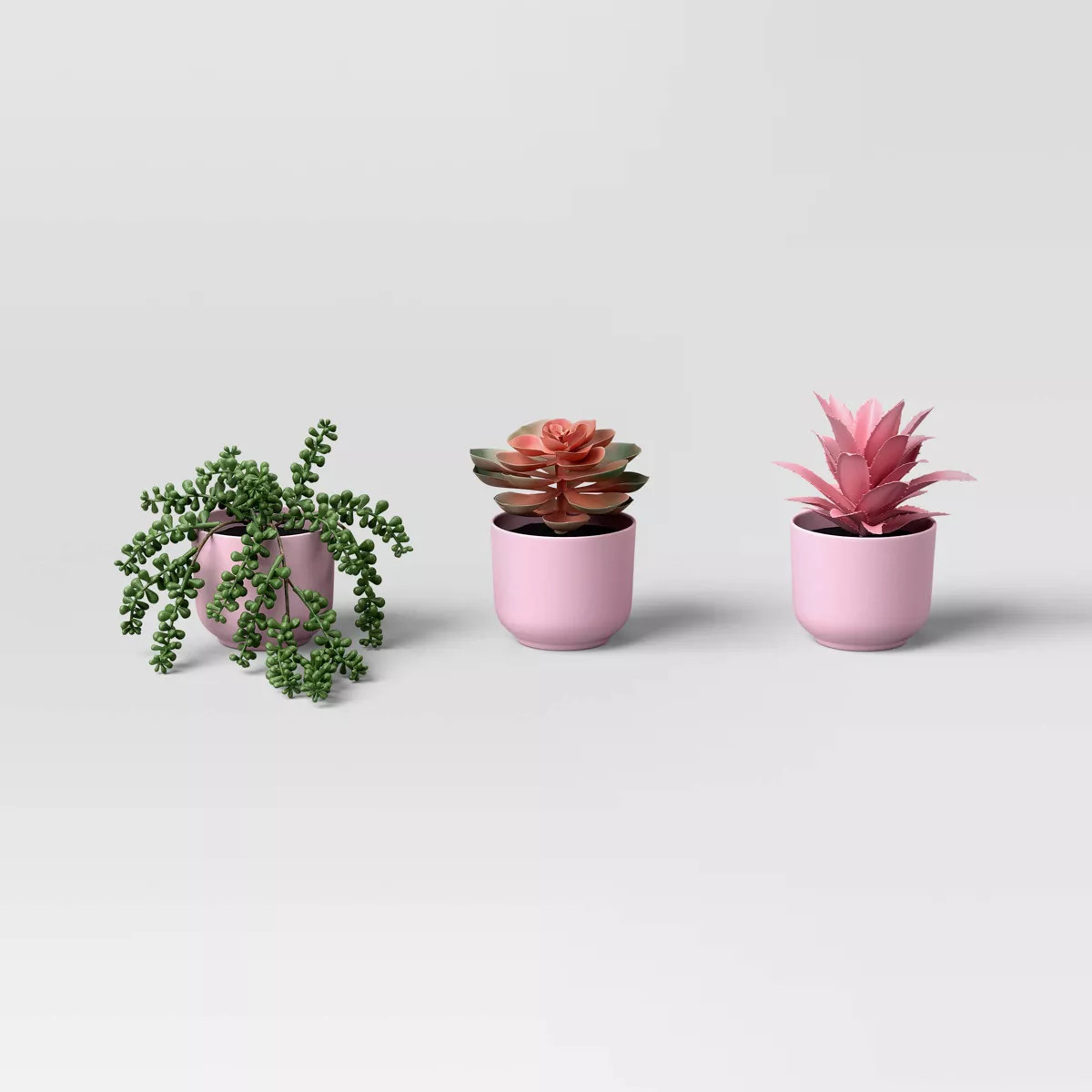 Succulent Multipack Plant Pink - Room Essentials™ | Target