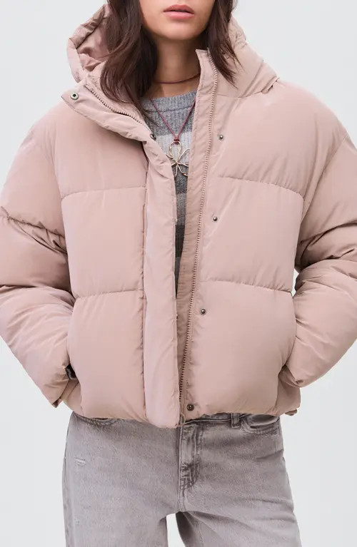 MANGO TEEN Hooded Puffer Jacket in Pastel Pink at Nordstrom, Size Medium | Nordstrom