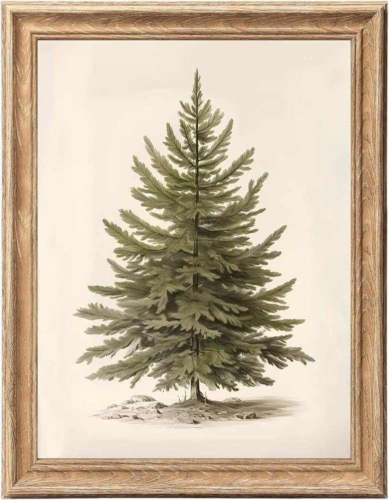 ASTRDECOR Framed Vintage Christmas Tree Wall Art 12x16, Rustic Pine Tree Botanical Winter Décor ... | Amazon (US)