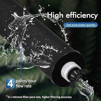 Purewell 2.25 Gallon Stainless Steel Gravity Water Filter System with 2 Black Purification Elemen... | Amazon (US)